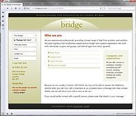 The Bridge